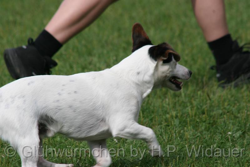 gluehwuermchen08 094 (22).jpg